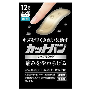 y䂤pPbgzΏہzSi JbgoyApbh ӂ 12[ǗË@](|Xg ǐՂ胁[)