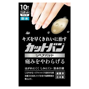 y䂤pPbgzΏہzSi JbgoyApbh X|bg 10[ǗË@](|Xg ǐՂ胁[)