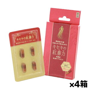 y䂤pPbgzIzfՃWp LZL̍gQ 4 x4(傭 ؍Y6NgGLX)(|Xg ǐՂ胁[)