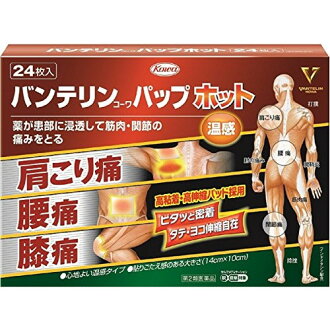 Kenko Express 24张兴和新药品banterinkowapappuhotto 湿布薬湿布温感
