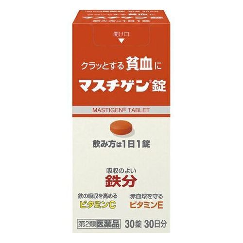 日本臓器製薬 マスチゲン錠 30錠
