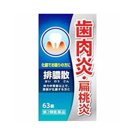 【第2類医薬品】排膿散エキス錠J 63錠