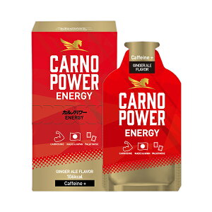 y䂤pPbgzΏہzJmp[GiW[ WW[G[ ENERGY GINGER ALE Flavor(Caffeine+) x1(Lbh^Cv GlM[⋋WF JmV p`m[X)(|Xg ǐՂ