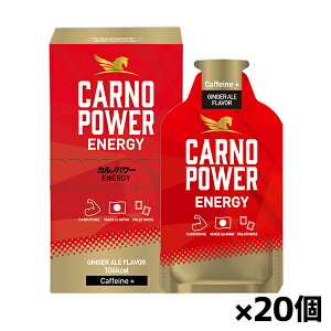 Jmp[GiW[ WW[G[ ENERGY GINGER ALE Flavor(Caffeine+) x20(Ȃł)(Lbh^Cv GlM[⋋WF JmV p`m[X)