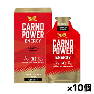 y䂤pPbgzΏہzJmp[GiW[ WW[G[ ENERGY GINGER ALE Flavor(Caffeine+) x10(Ȃł)(Lbh^Cv GlM[⋋WF JmV p`m[X)(|Xg