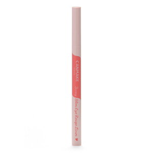 y䂤pPbgzΏہz[CANMAKE] LCN 3wayXAC[WCi[ 01 sAbh(|Xg ǐՂ胁[)