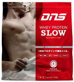 【送料無料】DNS ホエイプロテイン スロー ライトミルク風味 1kg [プロテイン](寝る前に飲む持続型 SLOW 1000g ディーエヌエス タンパク質 サプリメント プロテイン dns 4571419812356)