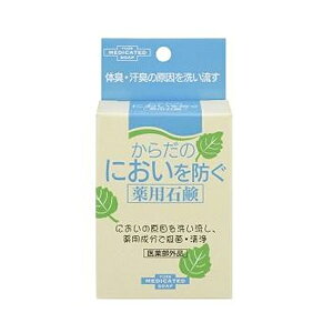 [[] 炾̂ɂhpΌ 110g ()