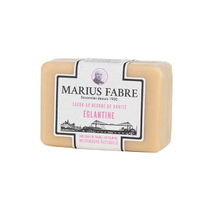 T{h}ZC 1900 Ch[Y 100g(Ό )