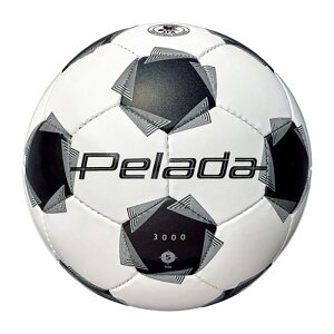 e molten y[_ 3000 5  tbg{[ OEh wȏ lHv K Nu  XN[  F5K3000