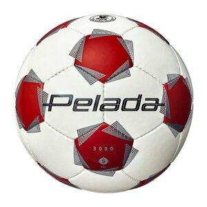 e molten y[_ 3000 5  TbJ[ tbg{[ OEh wȏ lHv K Nu  XN[  F5K3000WR