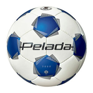 e molten y[_ 3000 5  TbJ[ tbg{[ OEh wȏ lHv K Nu  XN[  F5K3000WB