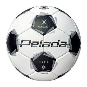 e molten y[_ 5000 LbY 4  TbJ[ tbg{[ OEh w lHv K Nu  XN[  F4K5000