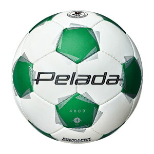 e molten y[_ 4000 4  TbJ[ tbg{[ OEh w lHv K Nu  XN[  F4K4000WG