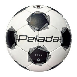 e molten y[_ 3000 4  OEh w lHv K Nu  XN[  F4K3000