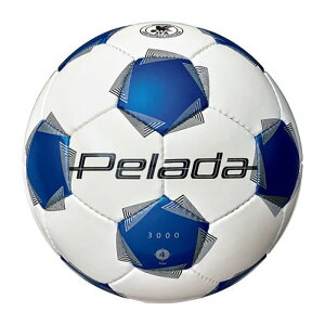 e molten y[_ 3000 4  TbJ[ tbg{[ OEh w lHv K Nu  XN[  F4K3000WB