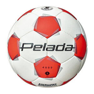 e molten y[_ 4000 5 IW TbJ[ tbg{[ OEh wȏ lHv K Nu  XN[  F5K4000WO