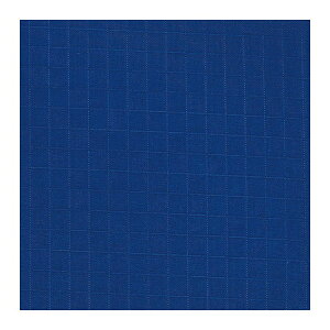 【ゆうパケット配送対象】KENYON ケニヨン リペアーテープ リップストップ ロイヤルブルー ナイロン製品用 リップストップ織り リペア 修理 登山用品 補修 メンテナンス テント レインウェア