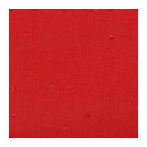 【ゆうパケット配送対象】KENYON ケニヨン リペアーテープ ナイロンタフタ レッド ナイロン製品用 タフタ 平織り リペア 修理 登山用品 補修 メンテナンス テント レインウェア KY11020RED(ポス