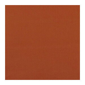 【ゆうパケット配送対象】KENYON ケニヨン リペアーテープ ナイロンタフタ ラスト ナイロン製品用 タフタ 平織り リペア 修理 登山用品 補修 メンテナンス テント レインウェア KY11020RST(ポス