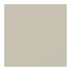 【ゆうパケット配送対象】KENYON ケニヨン リペアーテープ ナイロンタフタ ホワイト ナイロン製品用 タフタ 平織り リペア 修理 登山用品 補修 メンテナンス テント レインウェア KY11020WHT(ポ