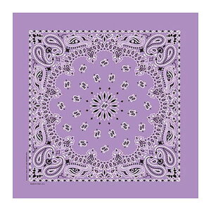 KENYON Pj NVbN o_i x_[ 55cm nJ` ʂ z C~ Lv W[ ʋ ʊw  KY6000CP26