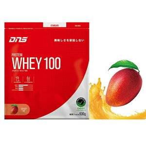 DNS fB[GkGX veCzGC100 gsJ}S[ 630g {fB[PA veC h{ێ g[jO  ݂₷ t[o[ n₷ AX[g z̐g PW1