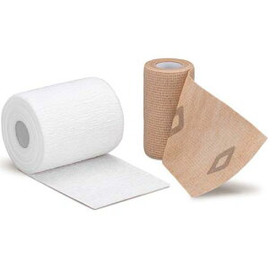 APA ALCARE   fAvXEeVKCh ی  Yh~ 21381񂹏iłB̃LZsEԕis