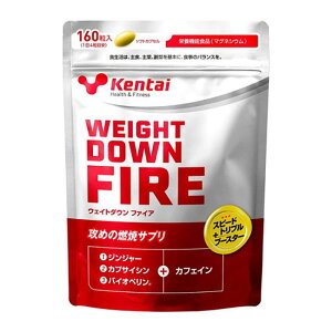 Kentai P^C EGCg_E FIRE(t@CA) 160(}OlVE JvZ g[jO ؃g W EFCg K  ؃g Tv) K4422