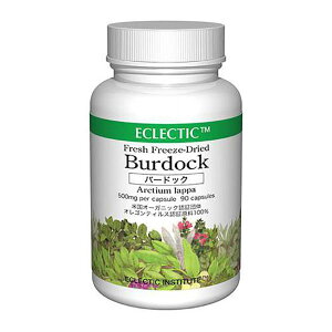 ECLECTIC o[hbN(mS{E)500mg×90JvZ FFD90 E282(NHi n[uGLX Tvg)1TԒx܂