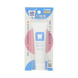 【ゆうパケット配送対象】国産 ペット歯みがきペースト[チキン風味] 38g(ポスト投函 追跡ありメール便)