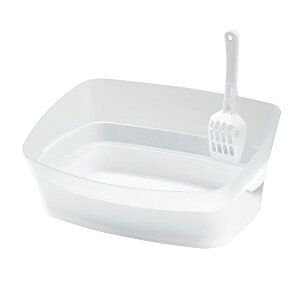 {rAR gC NALbg STCY(L gCpigC{)