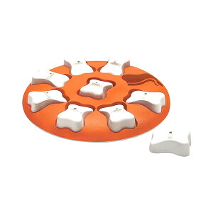 y_bhEFCzg[cEQ[ T[N (p  mgC) ( dog ) (DADWAY)