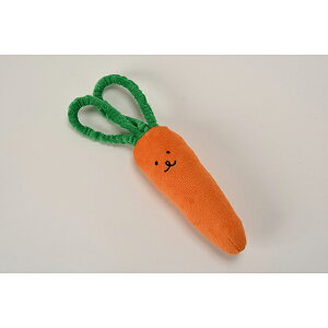 [AN[X]؃tY Lq(pi ʂ)