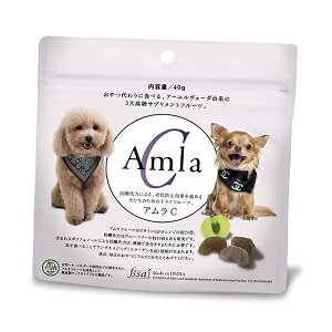 [ybcNG[V]AC 40g(p)(pi Tvg)