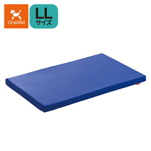 A(GCh)}bg LL(^)(ybgpi Q xbh}bg NbV V pi)1TԒx܂