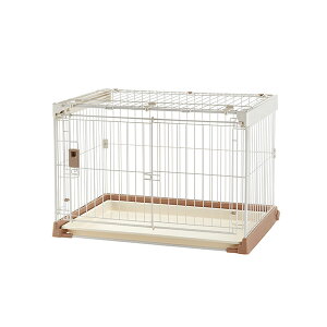 [b`F]|ȒPybgP[W 900 uE(pi T[NEQ[W)