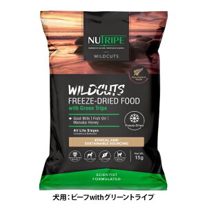 y䂤pPbgzΏہz[j[gCv ChJbg]t[YhC DOG r[twithO[gCv 15g(hbOt[h p͂ t[YhC OCt[ j[W[h)(