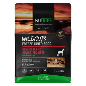 y䂤pPbgzΏہz[j[gCv ChJbg]t[YhC DOG r[twithO[gCv 380g(hbOt[h p͂ t[YhC OCt[ j[W[h)(