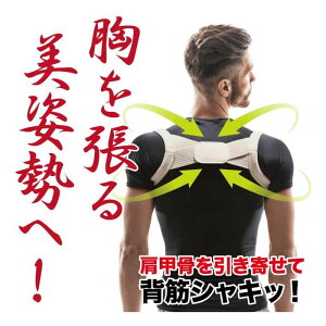 Y eɂȂɂ s[Ɣw؃xg M`LTCY(jp Lw p w Œ T|[^[ b w)