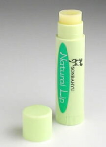 y䂤pPbgzΏہz\o[ i`bv 4g [t][bvN[][n](|Xg ǐՂ胁[)