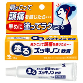 【ゆうパケット配送対象】【第3類医薬品】小林製薬 塗るズッキノンa軟膏 15G【SM】(ポスト投函 追跡ありメール便)