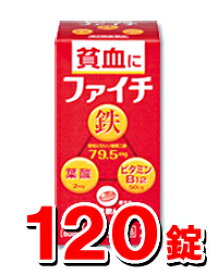 【第2類医薬品】小林製薬 ファイチ 120錠（貧血）