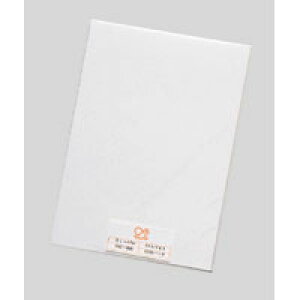 y䂤pPbgzΏہzRs[a [J~-4AW] 100 A4 {̐F:zCg(|Xg ǐՂ胁[)