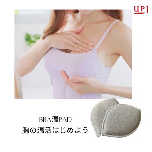 ỷzBRAPAD  { v[g Mtg Ɩp ƒp  ƒ GXe T ₦΍  \h _CGbg ԊO  oXgpbh upbh 2g