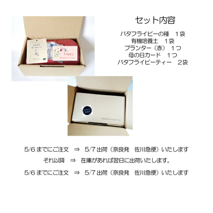 楽天市場 送料無料 組み合わせ不可 のんびりおーがにっく バタフライピー栽培キット バタフライピー ティー ２袋セット 土 種 プランター 母の日カード 付 5 6までのご注文で5 7発送 健康生活応援ショップ