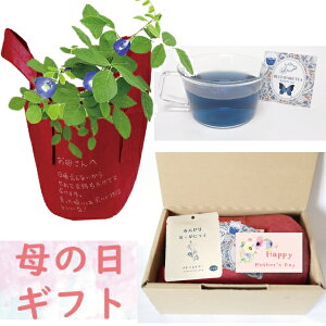 プランター 袋 種の人気商品 通販 価格比較 価格 Com
