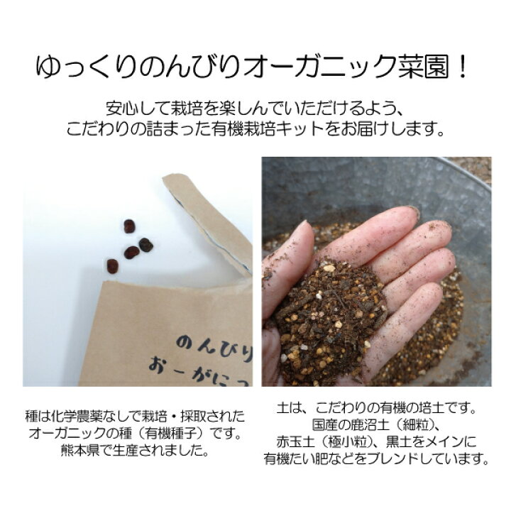 楽天市場 送料無料 組み合わせ不可 のんびりおーがにっく バタフライピー栽培キット バタフライピー ティー ２袋セット 土 種 プランター 母の日カード 付 5 6までのご注文で5 7発送 健康生活応援ショップ