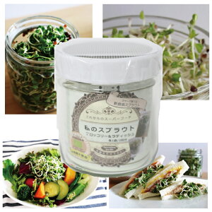 y^[ 1(1{܂)z ̃XvEg ͔|Lbg B006@ubR[EfBbVZbg ₵͔|^Cv S͔|K