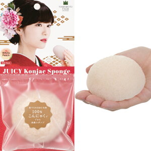 yX z ۑܕt ɂႭ    X|W Iׂ6 ɂႭ100   䂸 Β  Y yVLO1ʊl CX|I